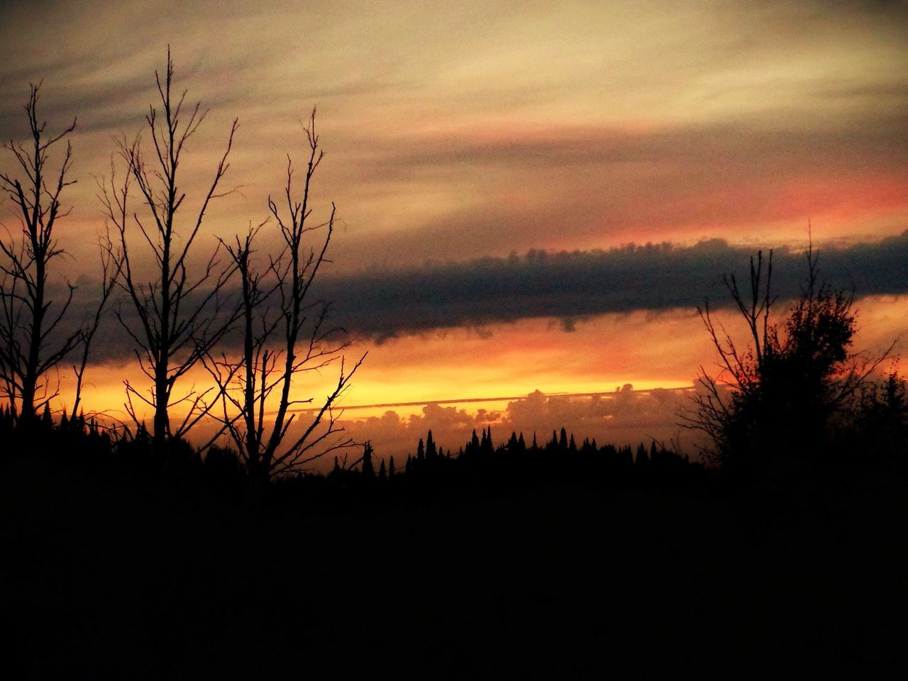 sunset, silhouette, scenics, orange color, tranquil scene, sky, beauty in nature, tranquility, dramatic sky, idyllic, cloud - sky, tree, nature, landscape, bare tree, majestic, dark, moody sky, cloud, atmospheric mood