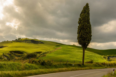 Scenic view of green landscape against sky