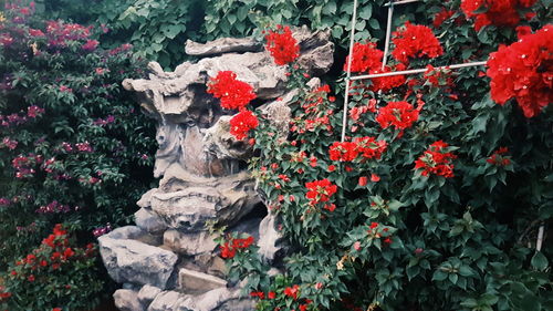 View of statue against plants