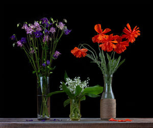 Close-up of flower vase against black background