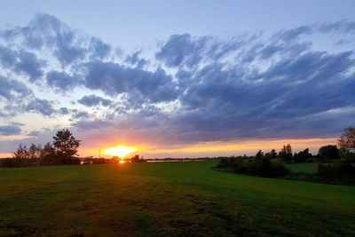 Scenic view of field against sky during sunset