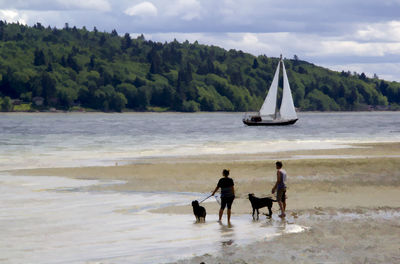 Scenic view of sea against sky