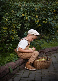 Side view of boy collecting fruits in basket
