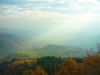 Aerial view of landscape