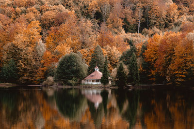 Scenic view of lake in forest during autumn