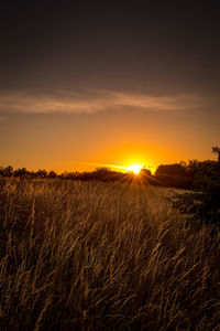 Scenic view of field against sky during sunset