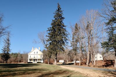 Trees and houses on field against clear blue sky