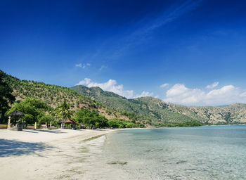 Scenic view of sea and trees against blue sky