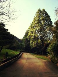 Road amidst trees against clear sky