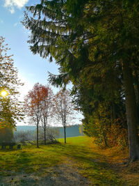 Trees on field against sky during autumn