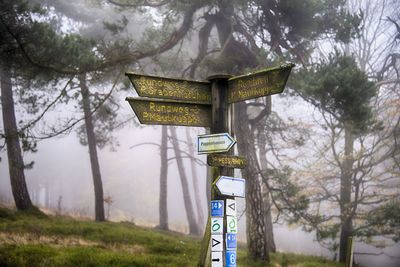 Road sign by trees against sky