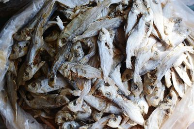 Close-up of fish in market