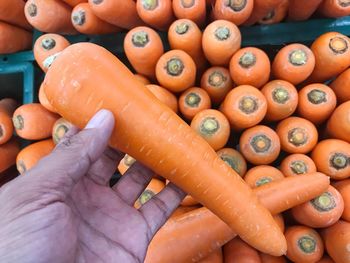 High angle view of hand for sale at market