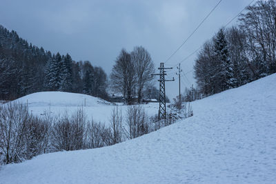 Snow covered trees against sky