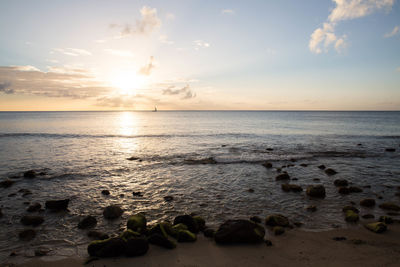 Scenic view of sea at sunset