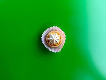 Close-up of green object