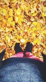 Autumn leaves on wall