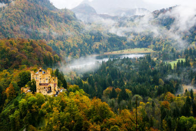 Scenic view of forest during autumn