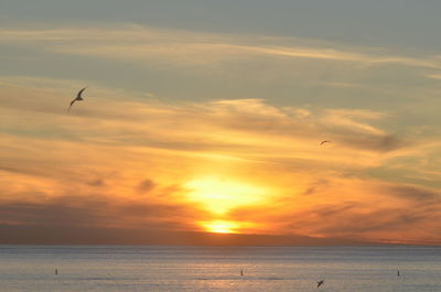 Scenic view of sea at sunset