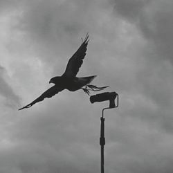 Low angle view of cloudy sky