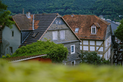 Houses by trees and buildings in city