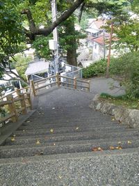 Street amidst houses and trees in park