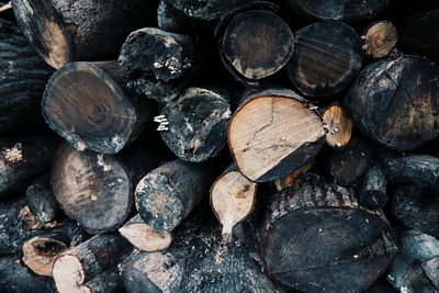 Full frame shot of logs in forest