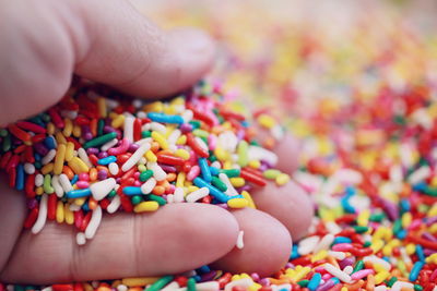 Close-up of hand holding multi colored candies