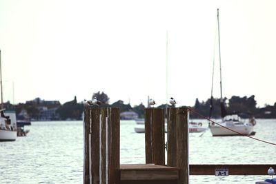 Boats in harbor