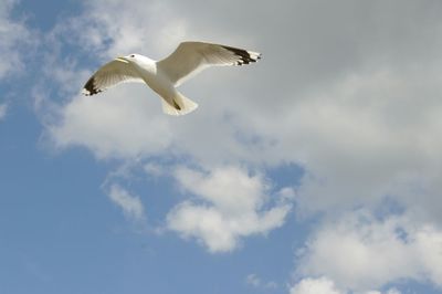 Low angle view of cloudy sky