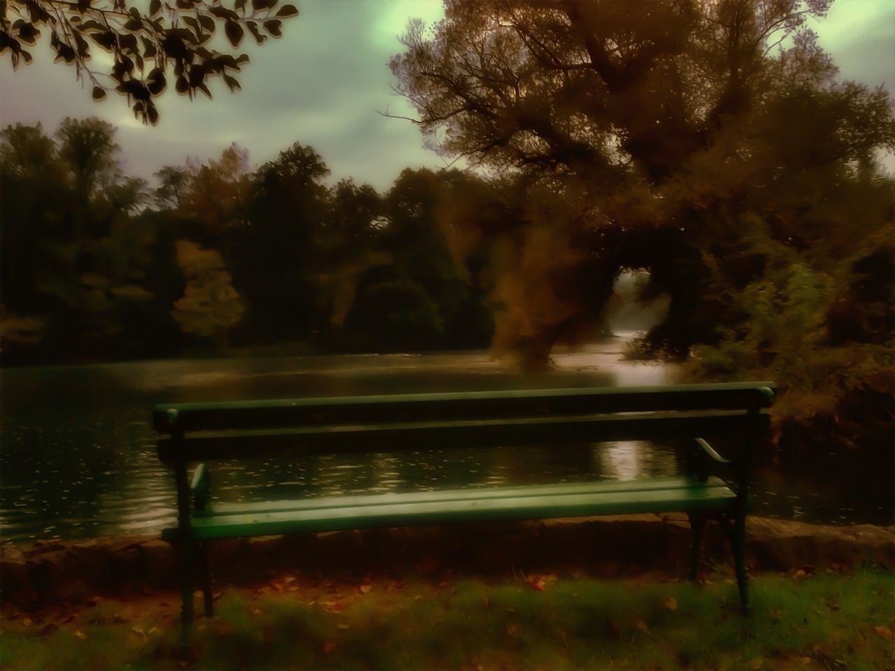 tree, water, leisure activity, lake, reflection, men, park - man made space, lifestyles, railing, sitting, fountain, bench, person, nature, rear view, outdoors, pond, motion