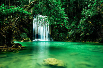 Scenic view of waterfall in forest