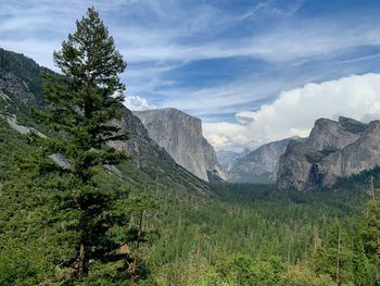 Scenic view on yosemite valley from the tunnel view point