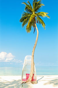 White ratan chair under palm tree on perfect tropical beach, summer holiday concept