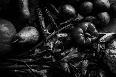 Full frame shot of fruits and leaves