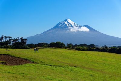 Scenic view of snowcapped mountain against clear sky