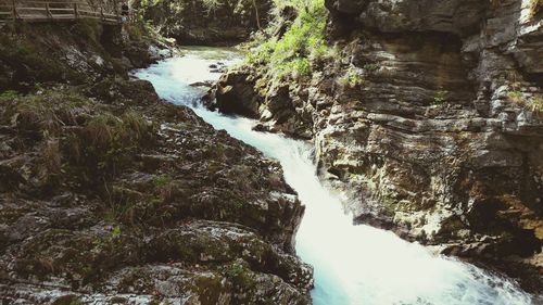 Scenic view of waterfall in forest