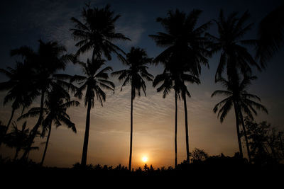 Silhouette palm trees against sky during sunset