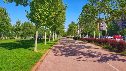 Footpath in park