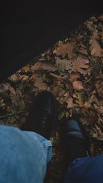 Low section of person legs on autumn leaves