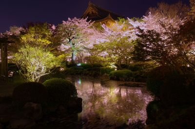 Trees by illuminated plants against sky at night