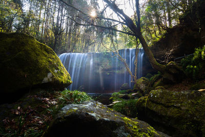 Waterfall in forest