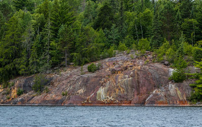 Trees and rock formation by lake