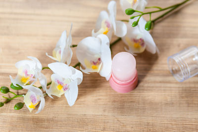 Close-up of white flowers on table