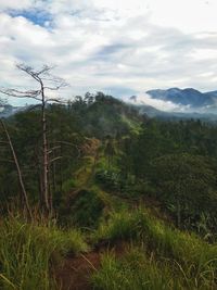 Scenic view of landscape against sky