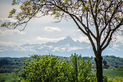 Scenic view of tree mountains against sky