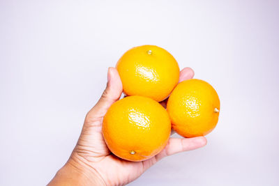 Close-up of hand holding apple against white background