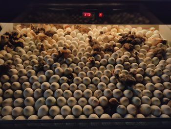 High angle view of candies in container