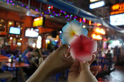 Close-up of hand holding illuminated flower at dusk