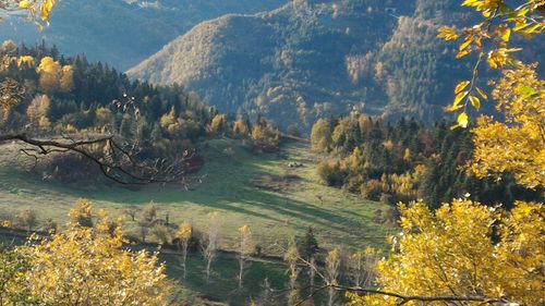 Scenic view of lake amidst trees during autumn